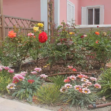 Casa Dos Malmequeres - Do Magoito - Casa vacanze