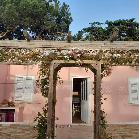 Casa Dos Malmequeres Holiday home *