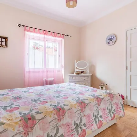 Casa Dos Malmequeres Holiday home