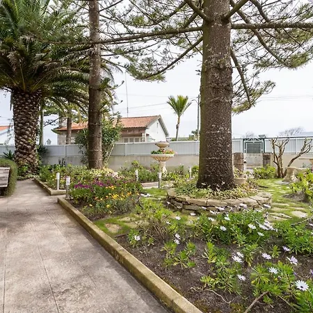 Casa Dos Malmequeres Holiday home