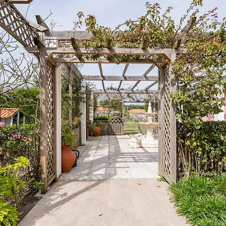 Casa Dos Malmequeres